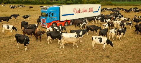 Dairy Produce Transport - Refrigerated Transport Logistics